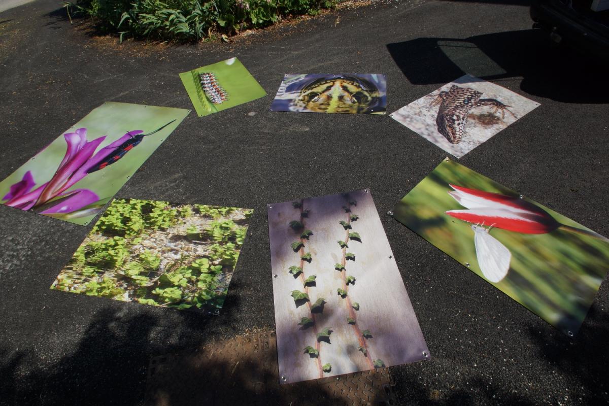 2015 0602 installation expo escueillens roumengoux0026