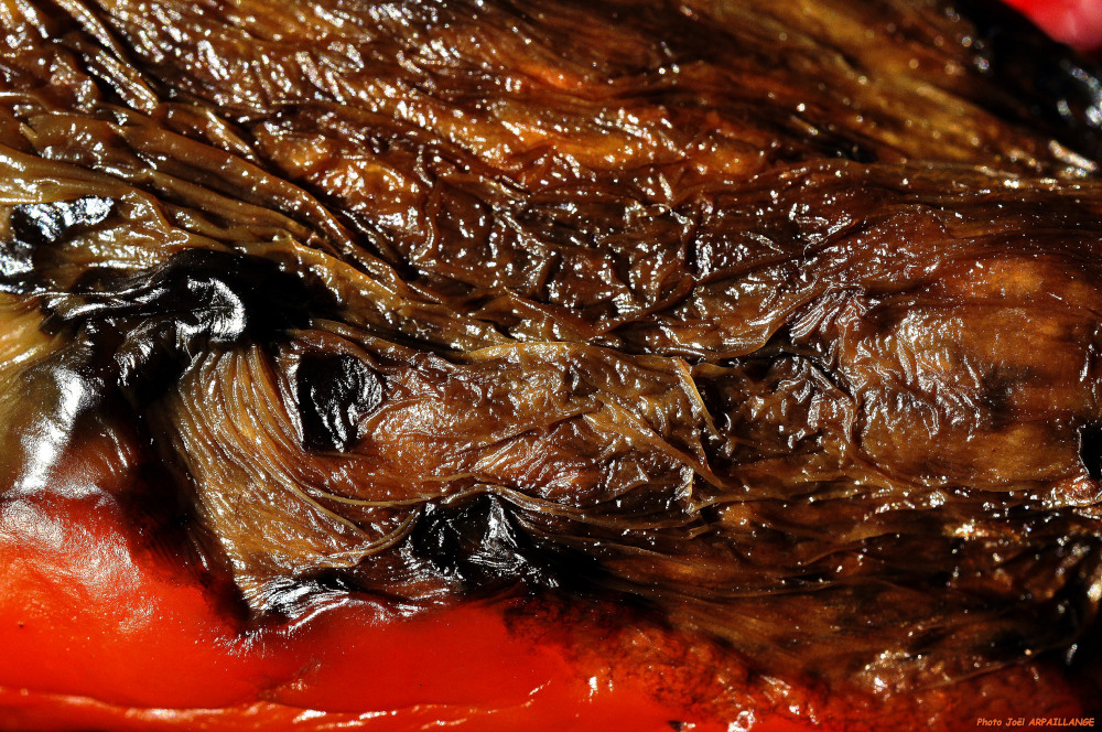 Arpa 0001 abstrait borderecran