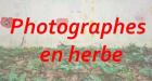 Bouton photographes en herbe