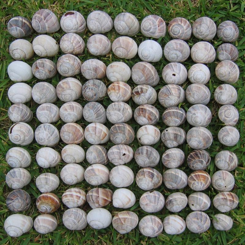 Carr 08 07 0021024 2