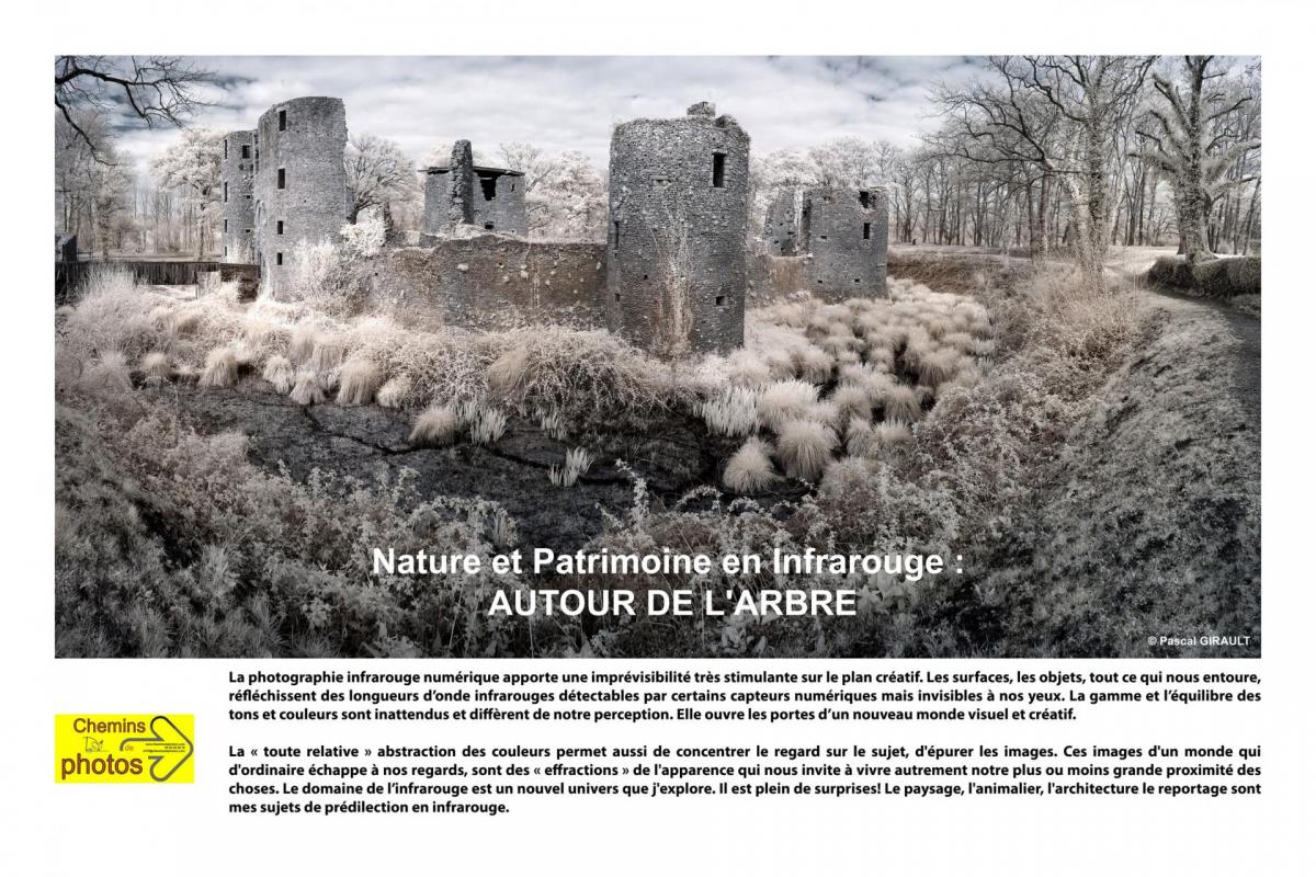 Girault autour de l arbre