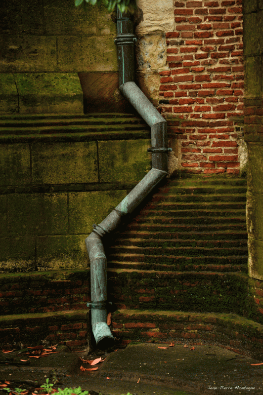 Jean pierre montagne toulouse