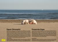 Noyan espoir desespere 01