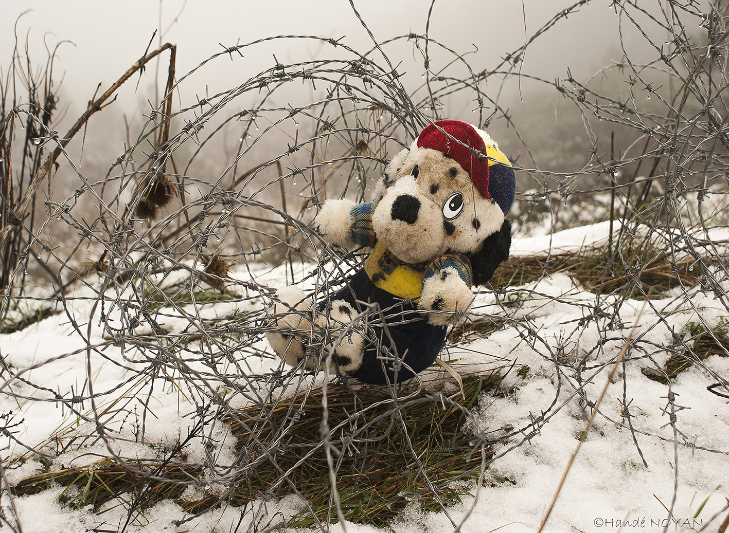 Noyan espoir desespere 07 web