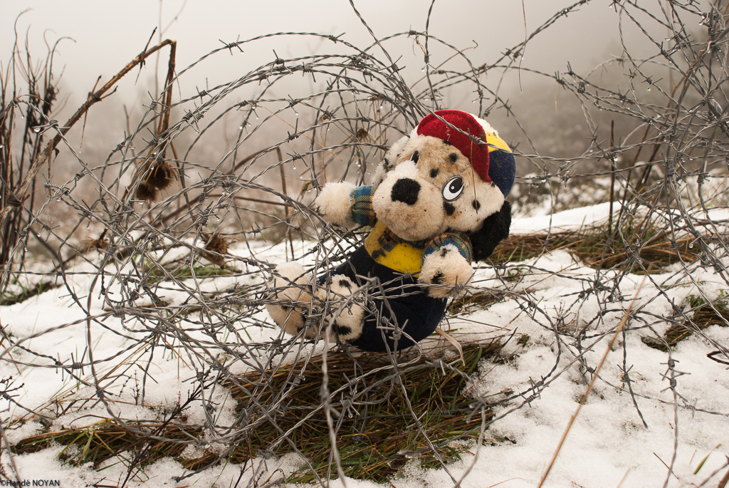 Noyan espoirdesespere