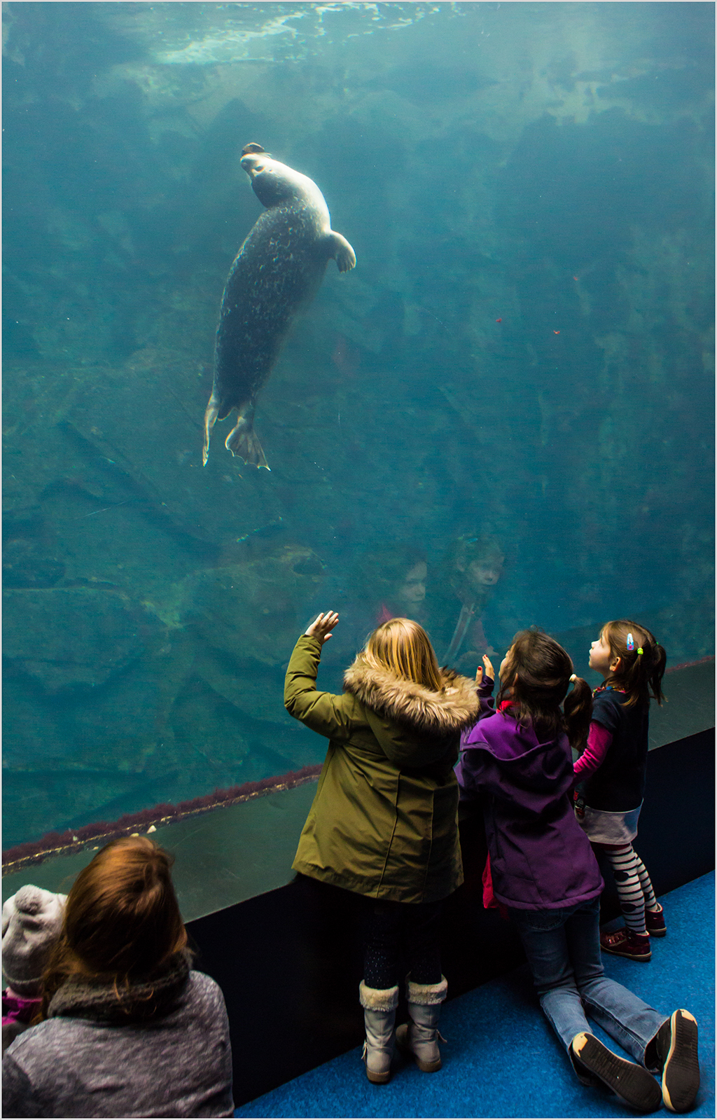 Oceanopolis brest france 04