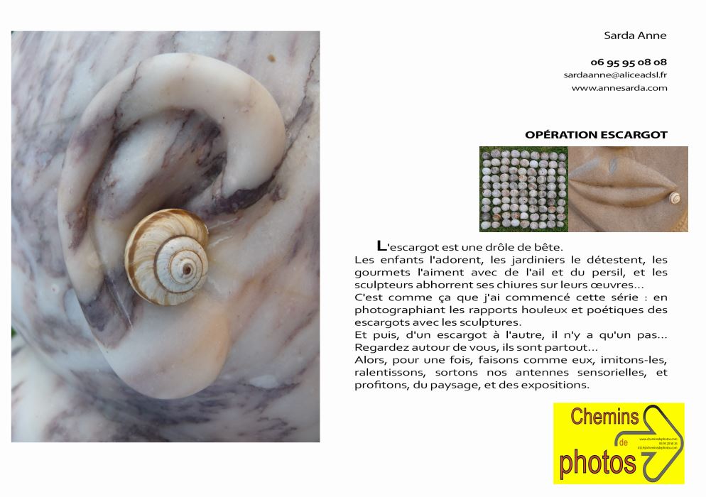 Sarda presentation escargots catalogue