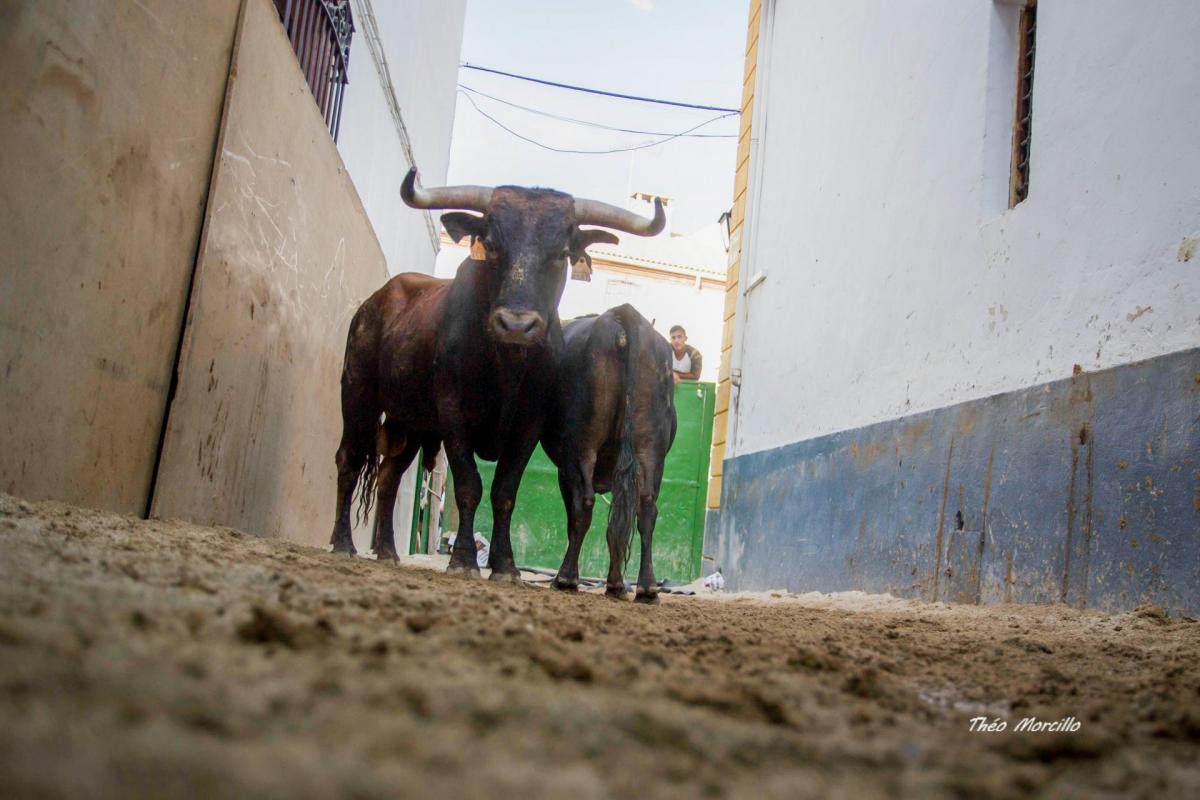 Village andalou de theo morcillo