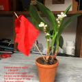 005 img 4712 1920 