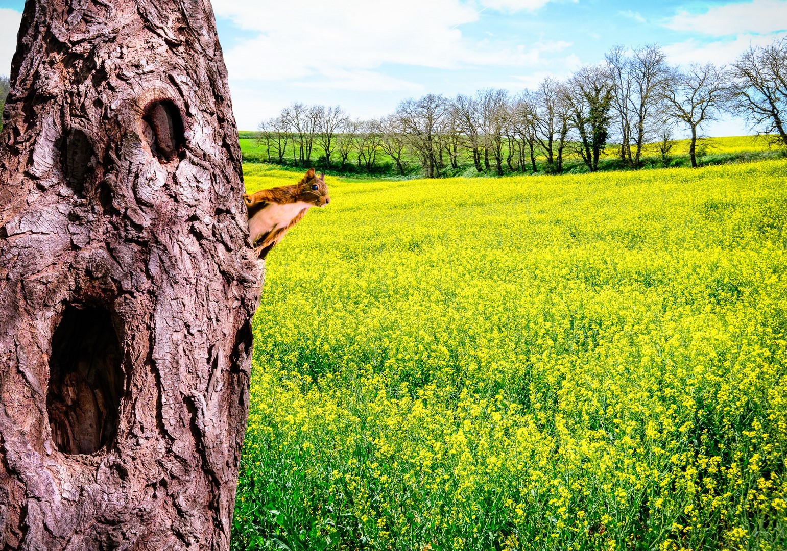 05 clerc cazalrenoux xt4f5751 modifier 2 copier 