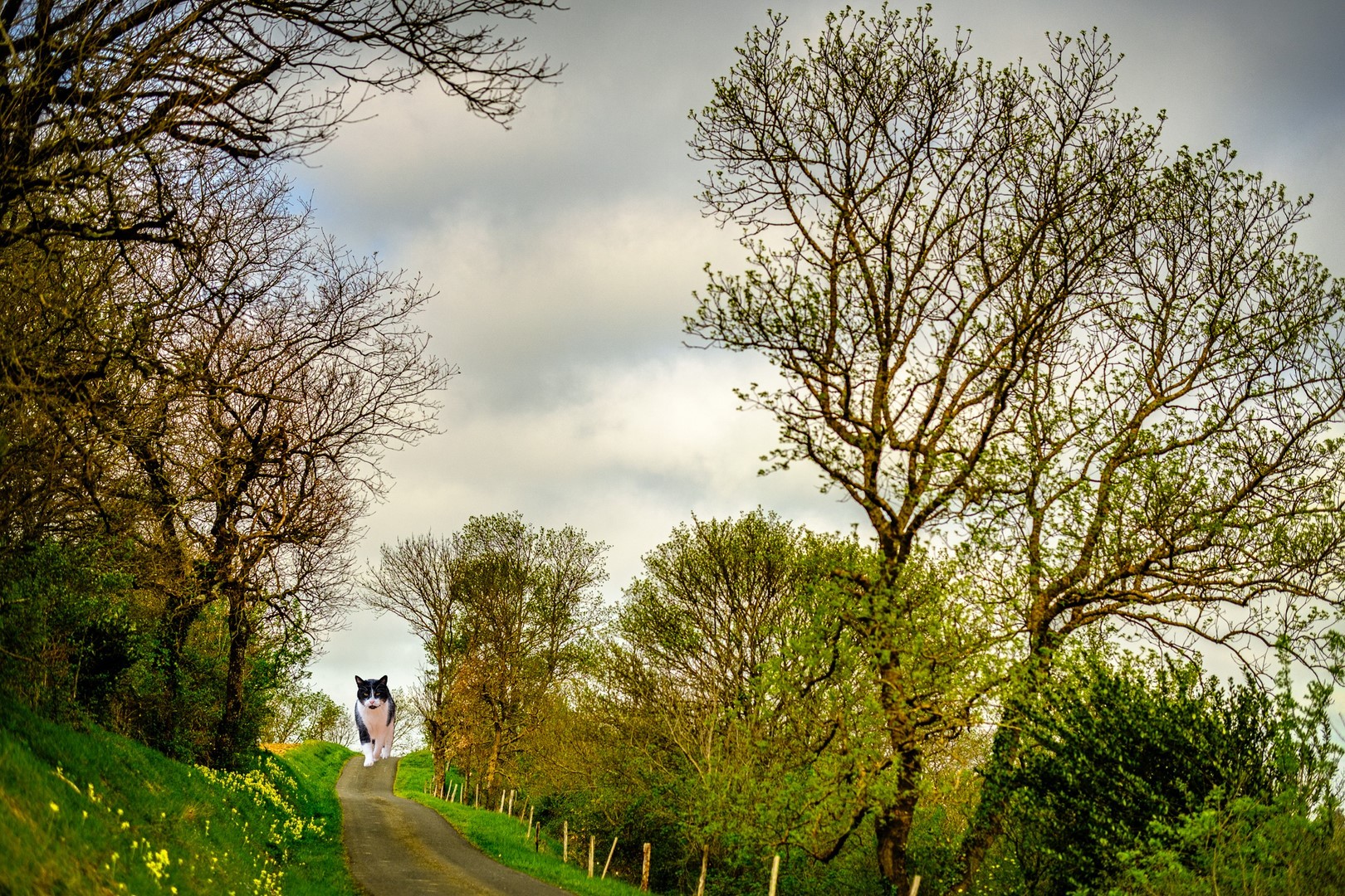 09 clerc cazalrenoux xt4f5691 modifier copier 