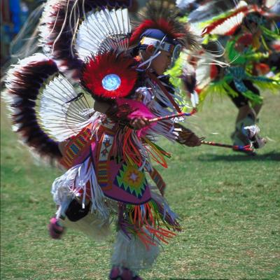 5 serie sur les pow wow