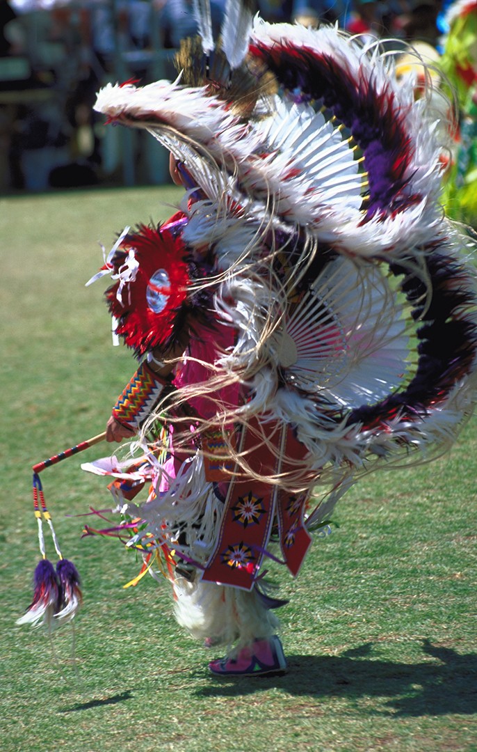7 serie sur les pow wow