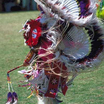 7 serie sur les pow wow