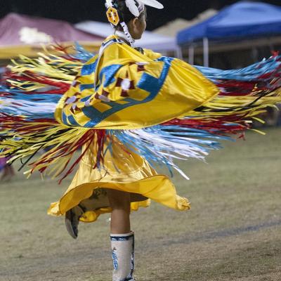 9 serie sur les pow wow