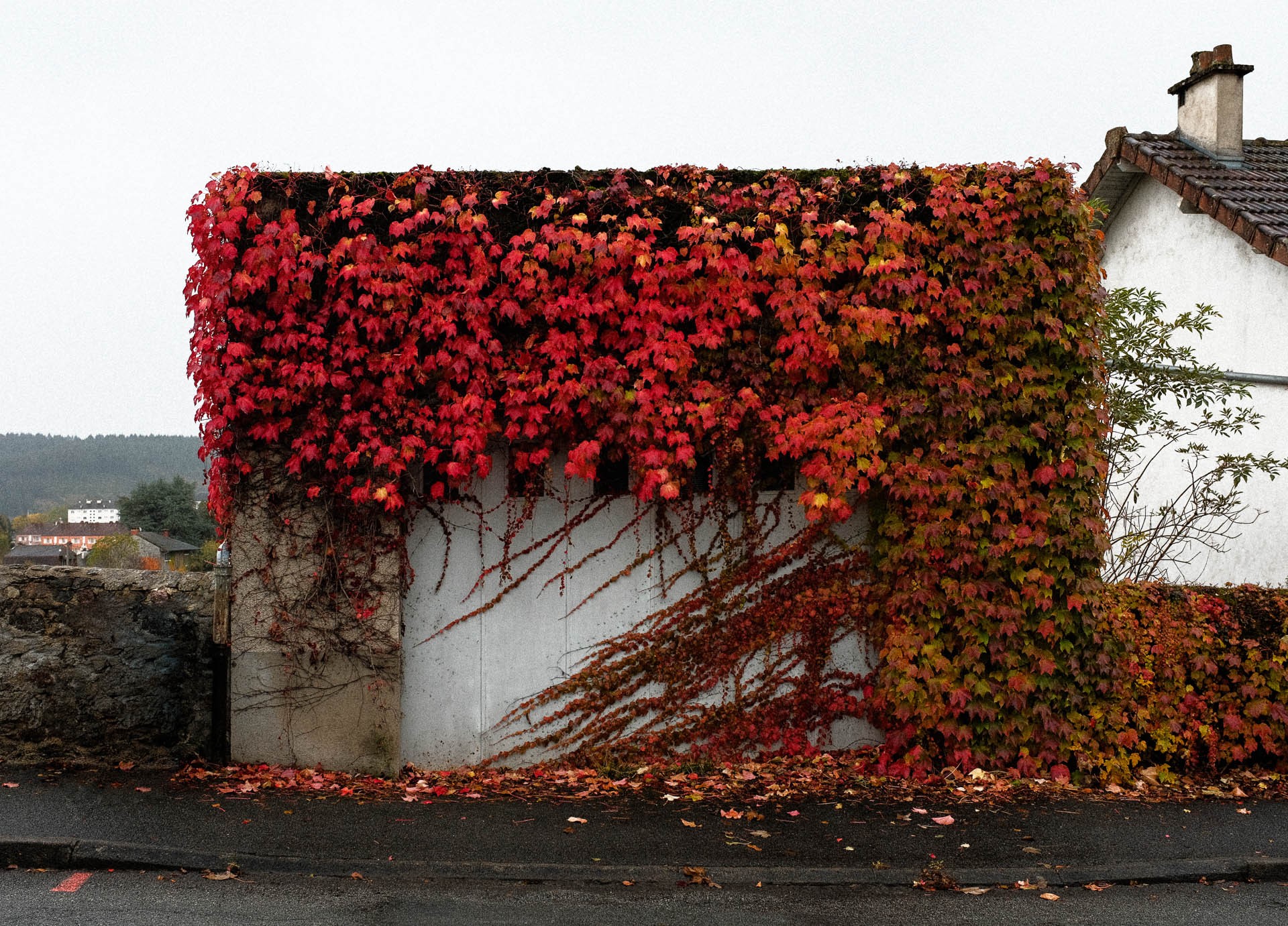 Central ouest side 07