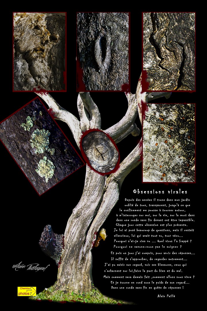 Covid alain paille bache