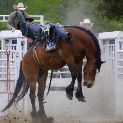 Cowboy jumping