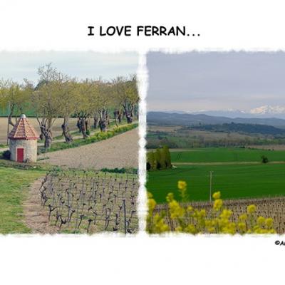 Ferran11 web