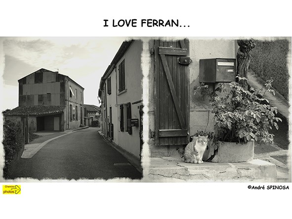 Ferran5 web