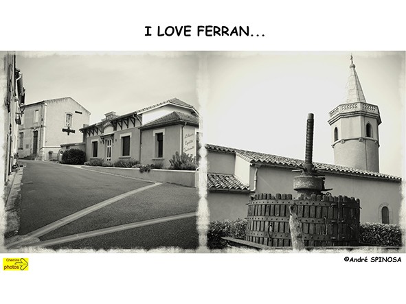 Ferran6 web