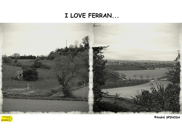 Ferran7 web