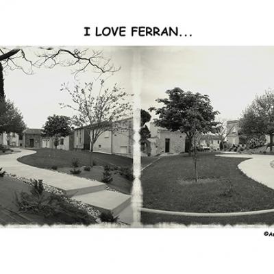 Ferran8 web
