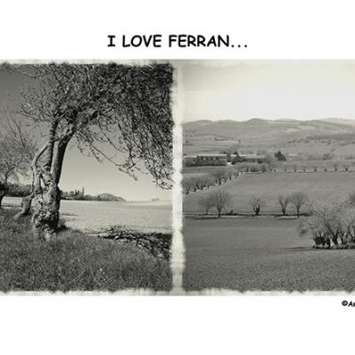 Ferran9 web