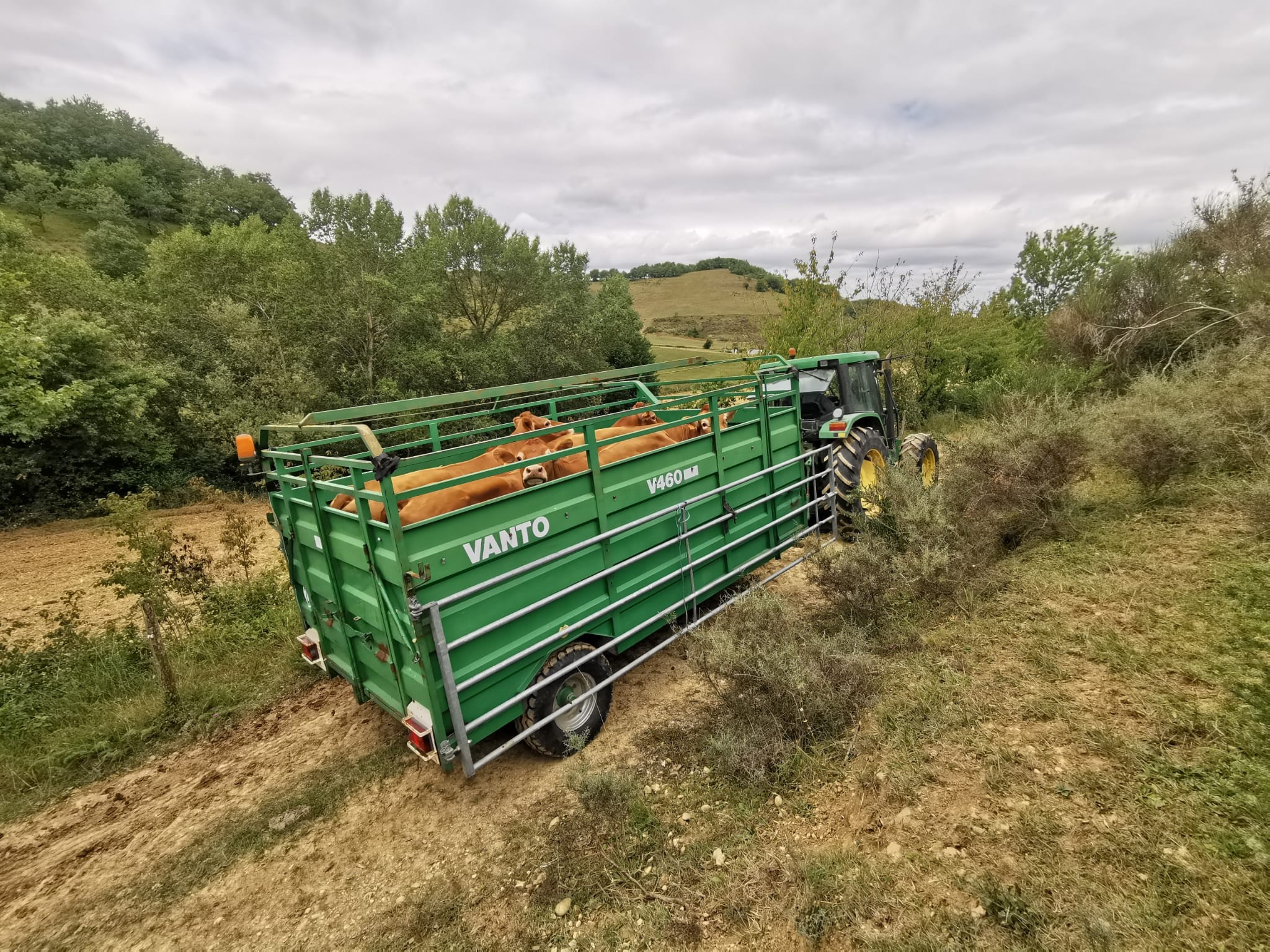 Img 20221117 wa0030 1