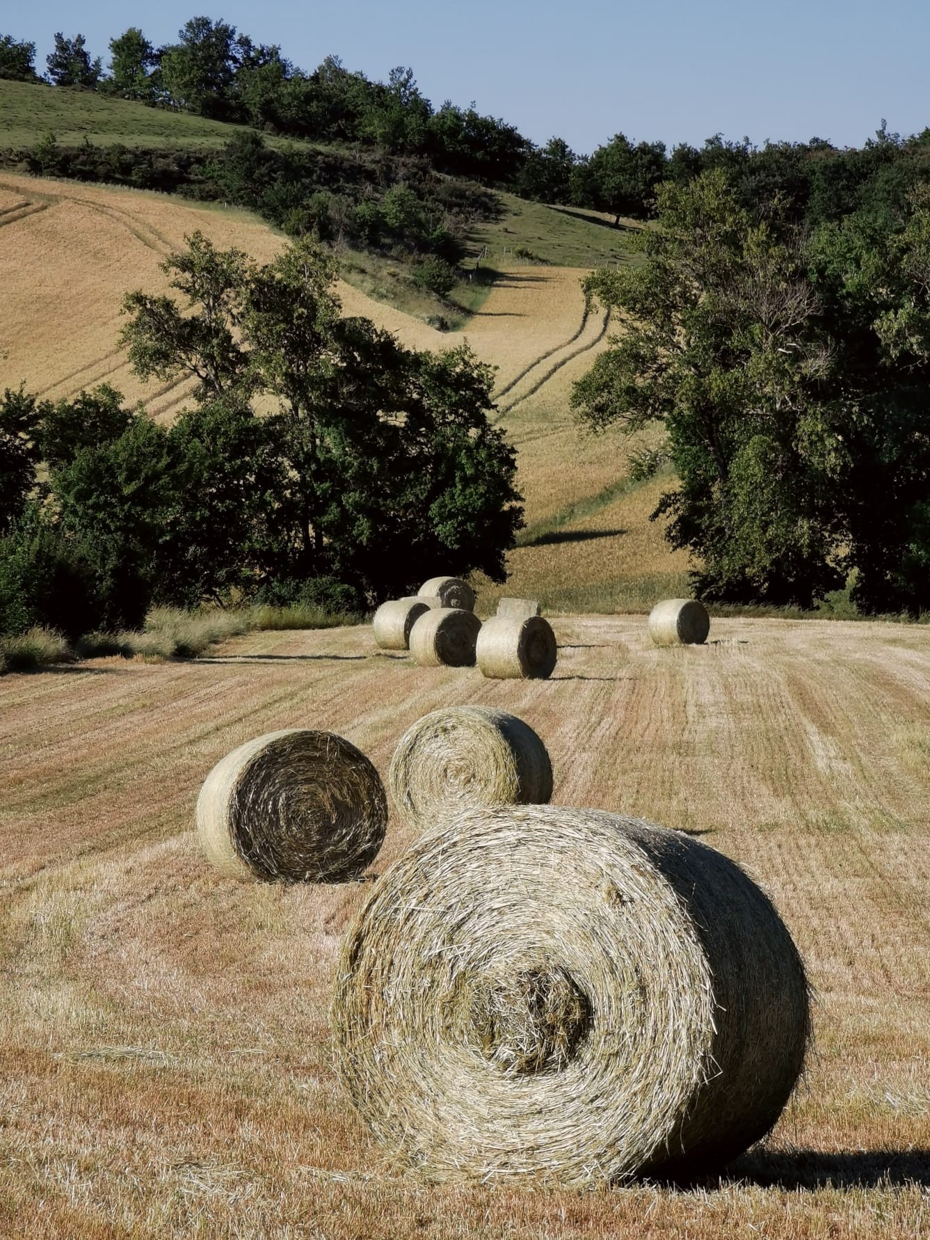 Img 20221117 wa0031 1