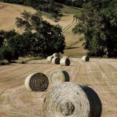 Img 20221117 wa0031 1