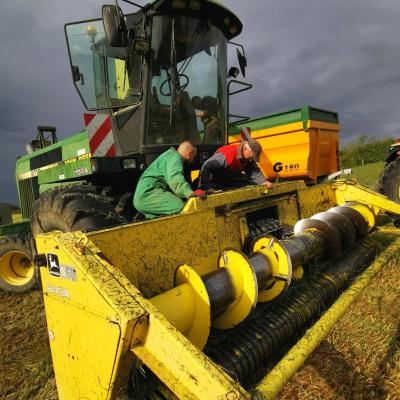 Img 20221117 wa0033 1