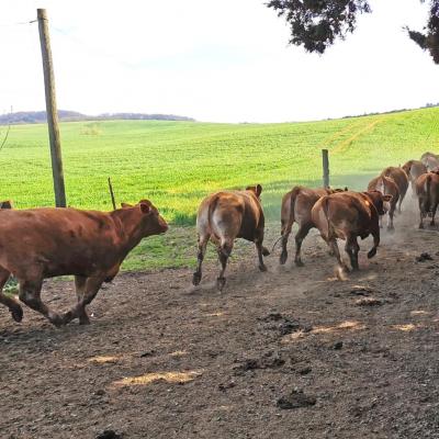 Img 20221117 wa0034 1