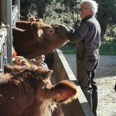 Img 20221117 wa0035 1