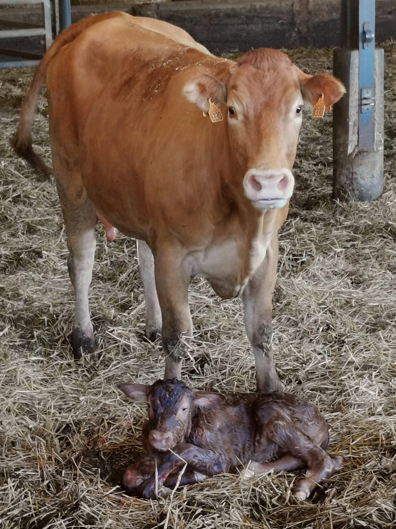 Img 20221117 wa0037 1