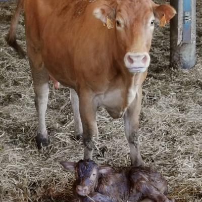 Img 20221117 wa0037 1