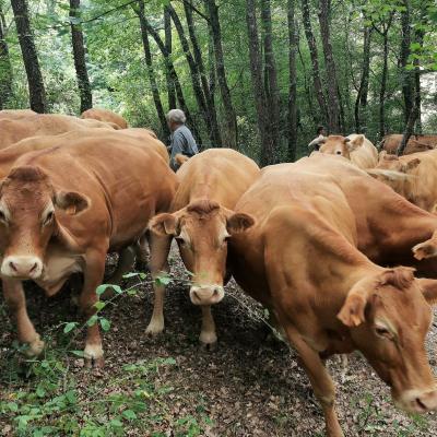 Img 20221117 wa0040 1