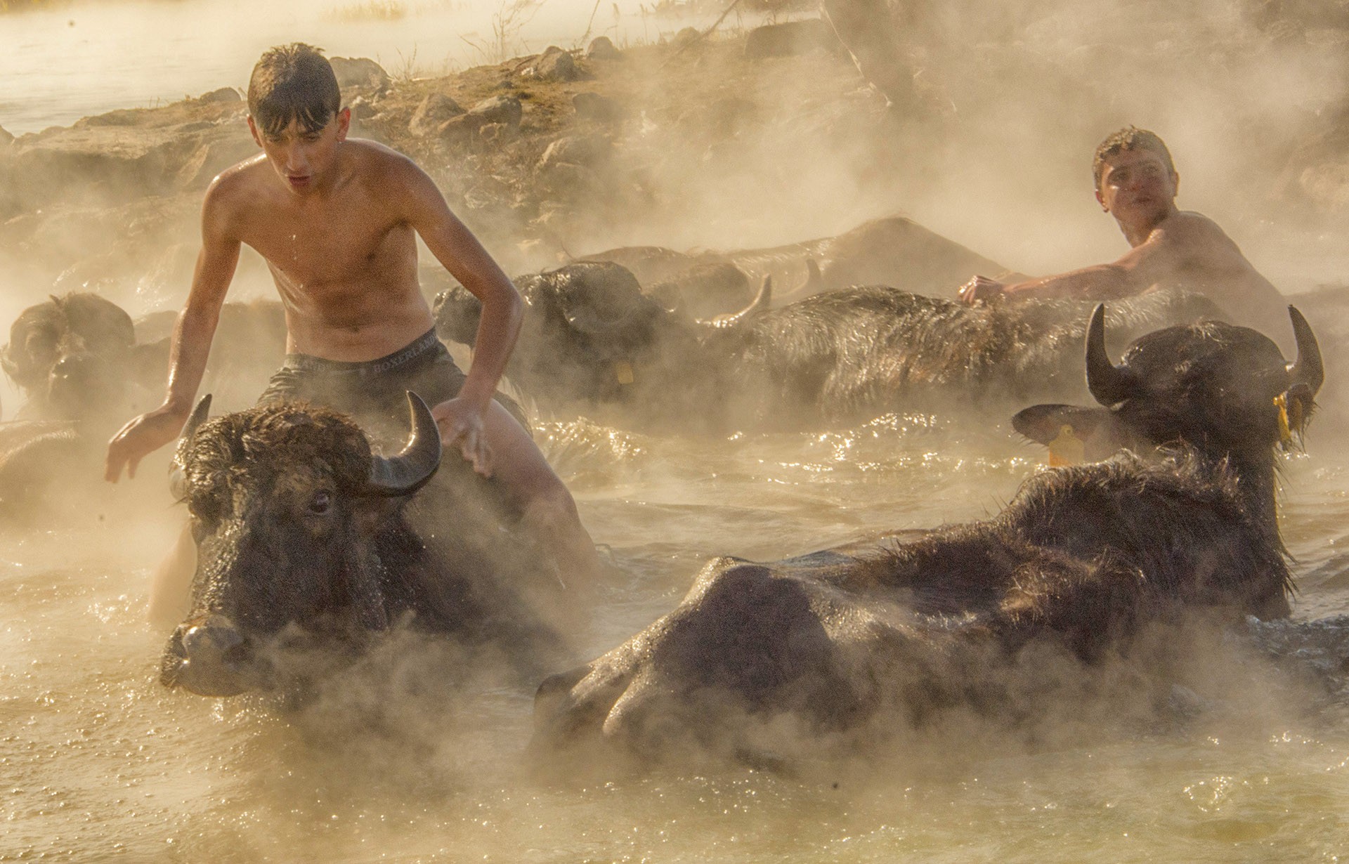 Kartal Orhan - Life in water