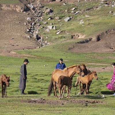 10 - Le cheval en Mongolie