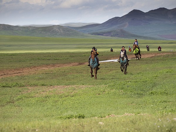 13 - Le cheval en Mongolie