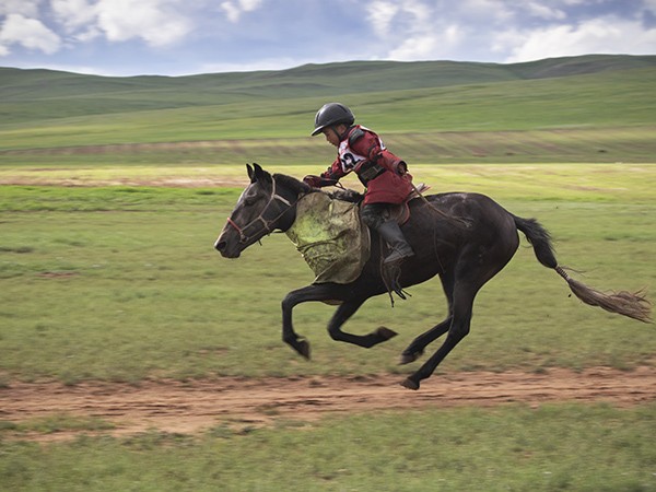 14 - Le cheval en Mongolie