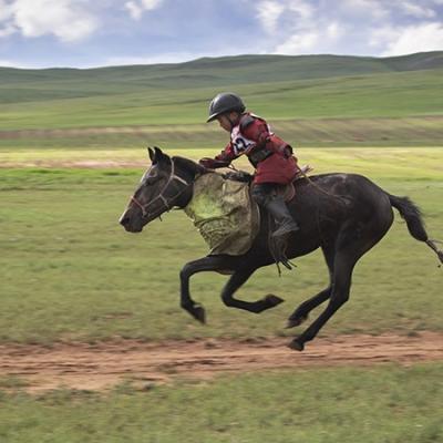 14 - Le cheval en Mongolie