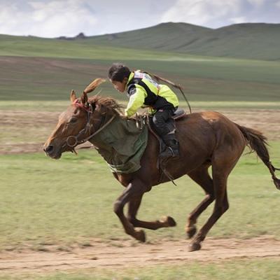 15 - Le cheval en Mongolie