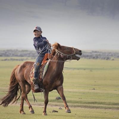 16 - Le cheval en Mongolie