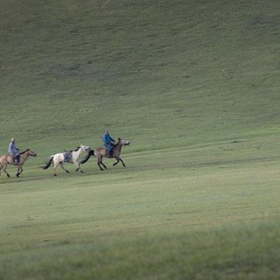 3 - Le cheval en Mongolie