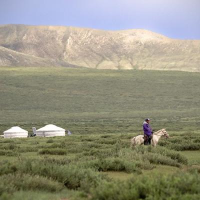 4 - Le cheval en Mongolie