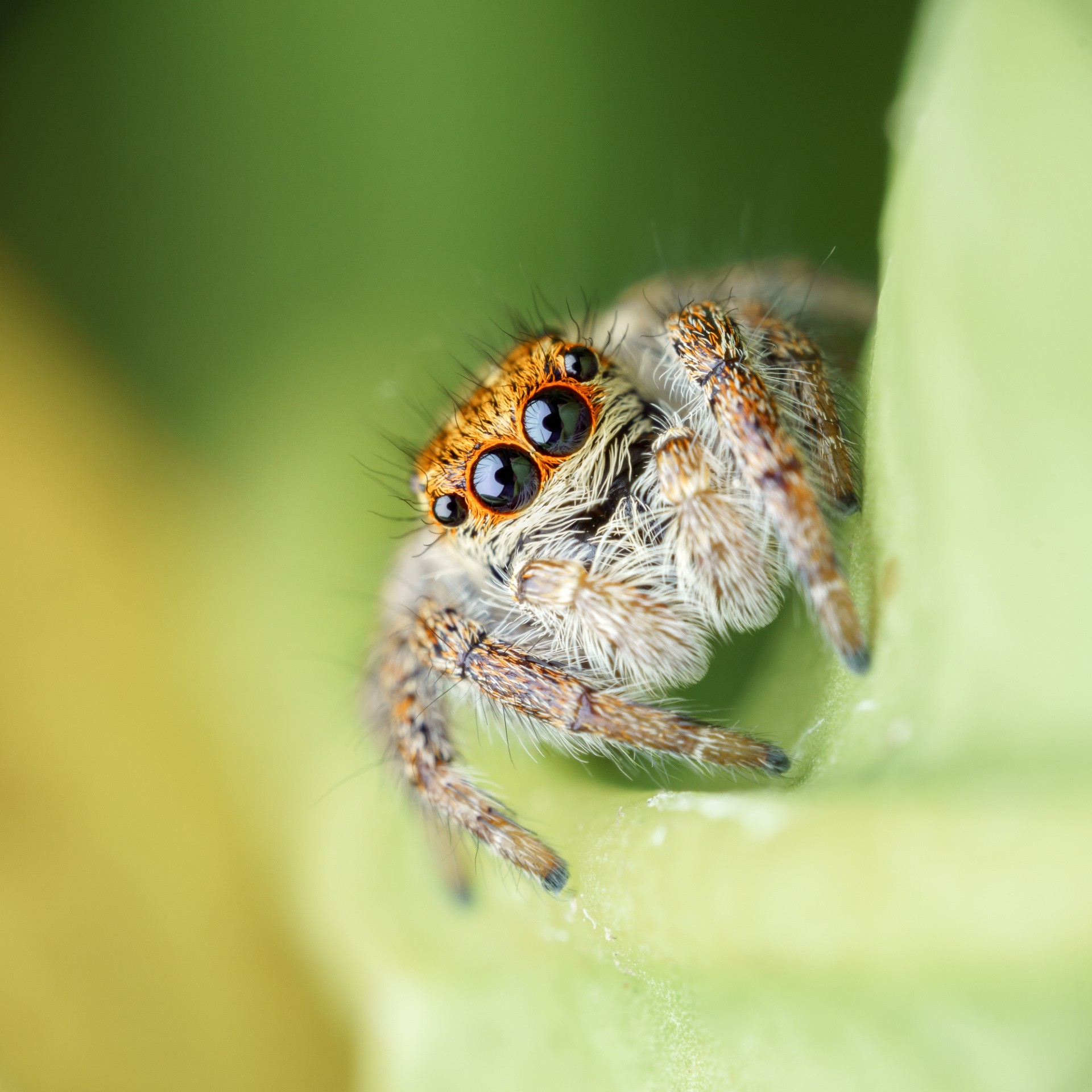 Le jardin d he le ne 19