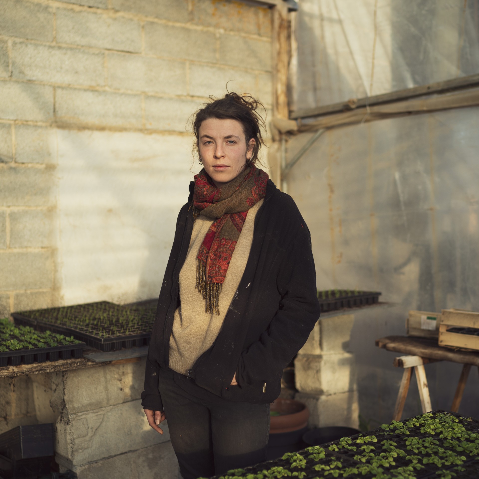 Le lien de la terre 01