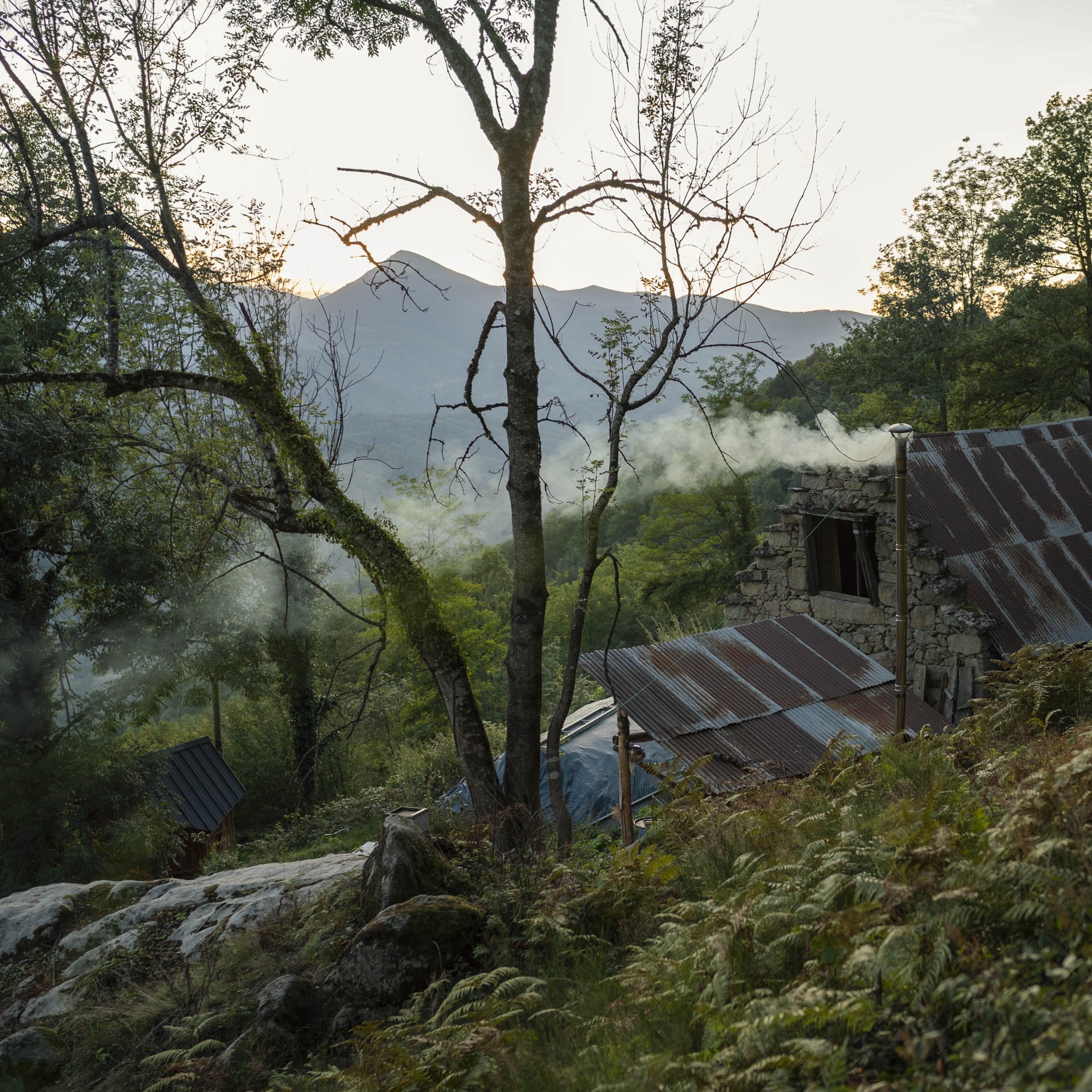 Le lien de la terre 02