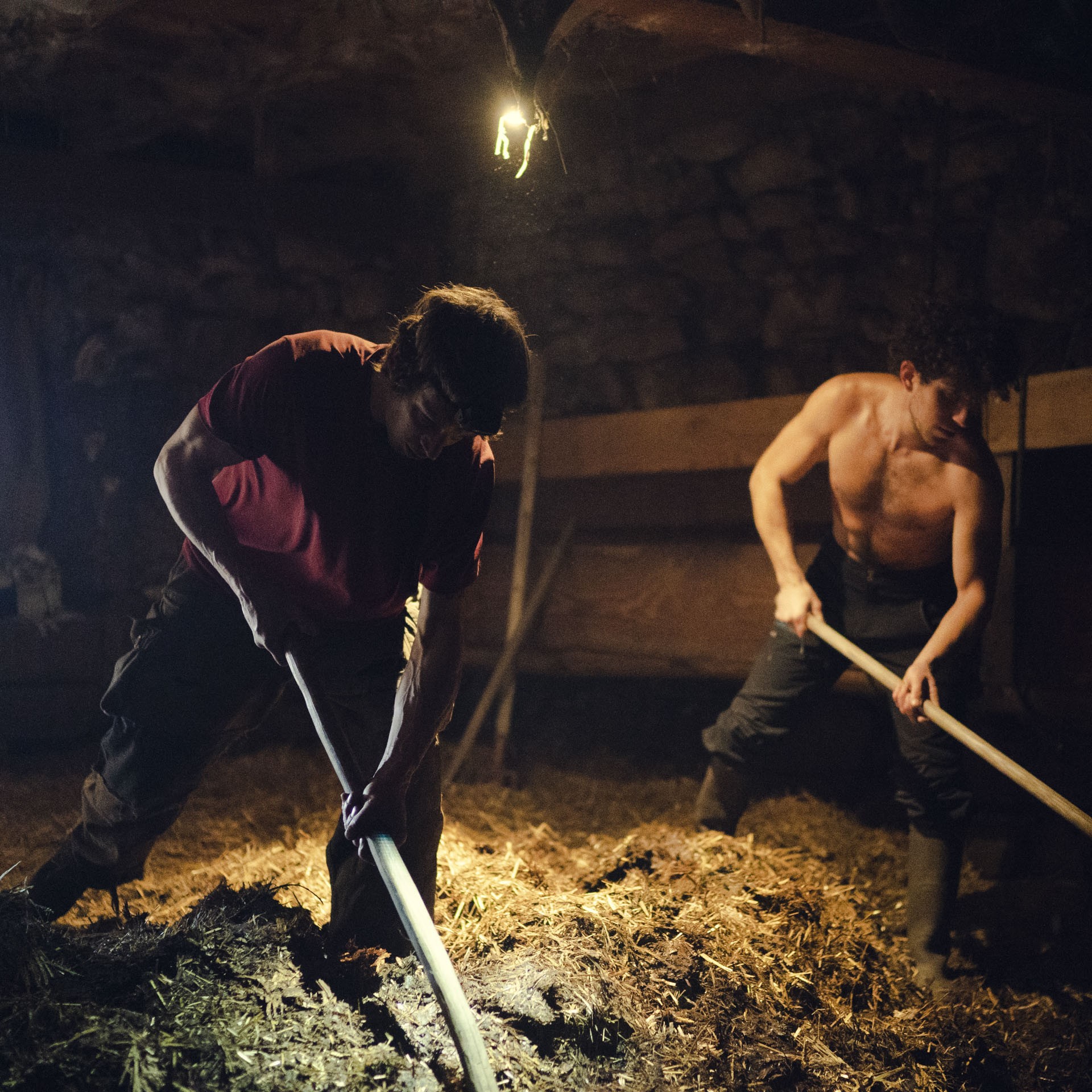 Le lien de la terre 09